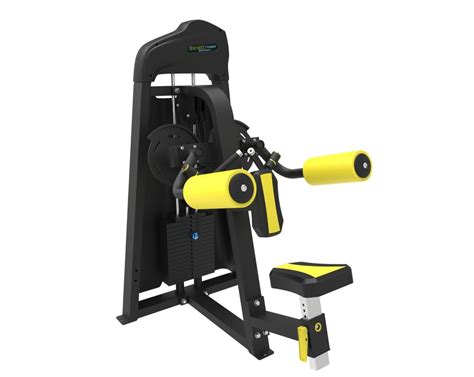 Side Lift with Machine 的图像结果