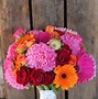 Image result for Easter Bunny Flowers