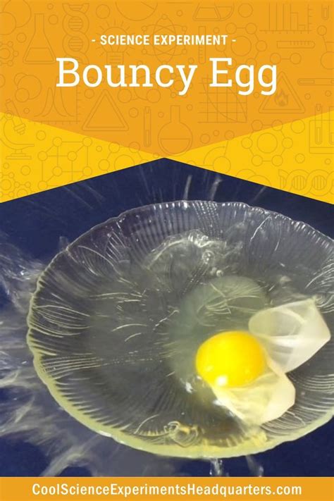 Cool Easy Science Experiments 的图像结果