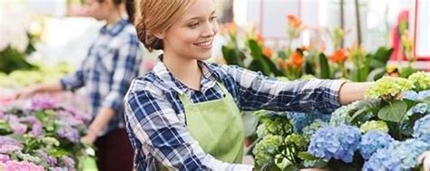 Sample Partner Program 的图像结果