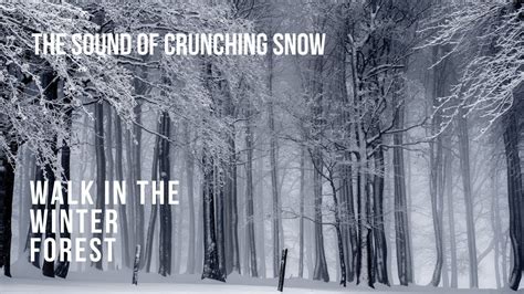 Image result for Snow Crunching Sound