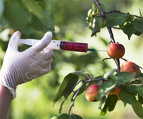 Gene-edited Food Is Coming, but Will Shoppers Buy? | Newsmax.com
