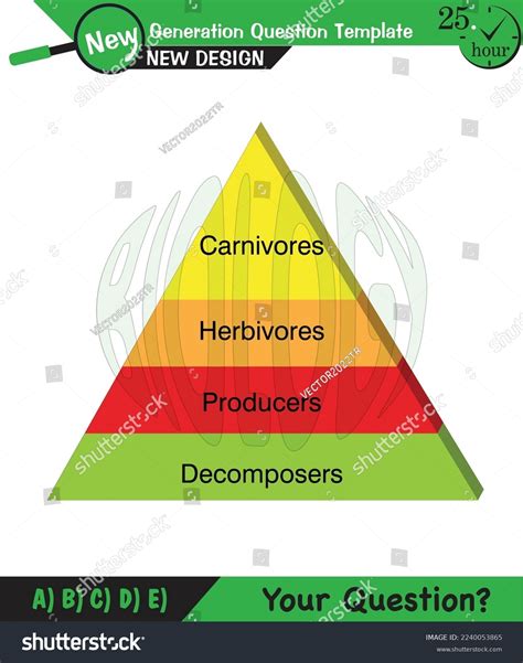 Energy in Food 的图像结果