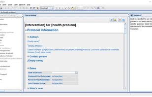 Image result for Tutorial Revman