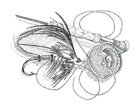 Image result for Fly Rod Drawing