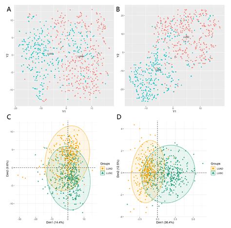 The Weight-Based Feature Selection (WBFS) Algorithm Classifies Lung ...