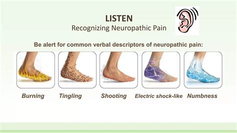 Neuropathic pain vs nociceptive pain | PPTX