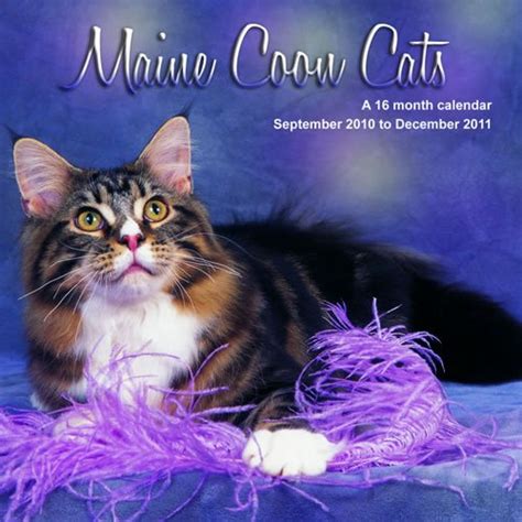 Maine Coon Cats 2011 Calendar MGCAD11 : Magnum: Amazon.in: Books