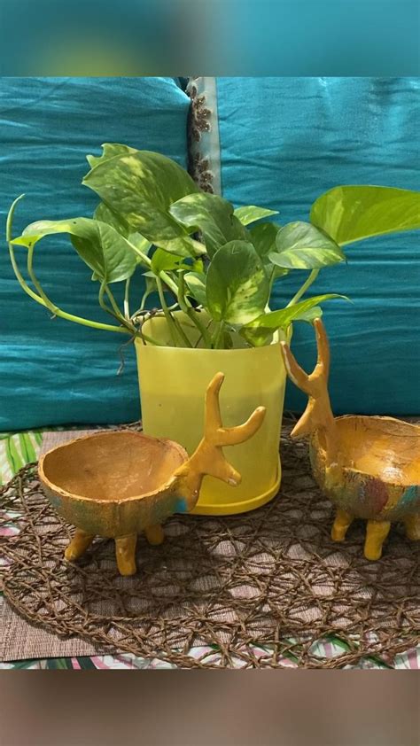 Image result for Decorative Items Using Coconut Shell