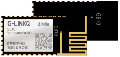 GP10 Decoder 的图像结果