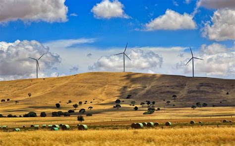 Agriculture 的图像结果