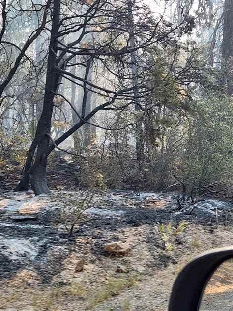 Elk Fire Bonanza Oregon