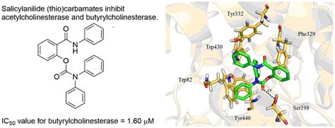 Novel Cholinesterase Inhibitors Based on O-Aromatic N,N-Disubstituted ...
