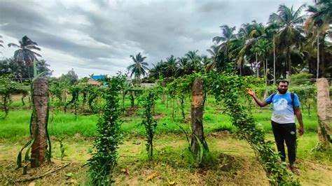 TNAU Agritech Portal :: Farm Innovation