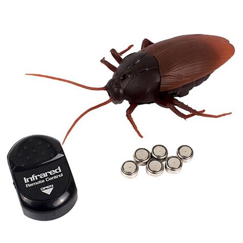 Remote Controlled Cockroach 的图像结果