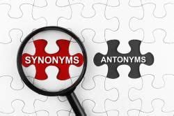 Synonyms and Antonyms - English Grammar Basic - Class 10 PDF Download