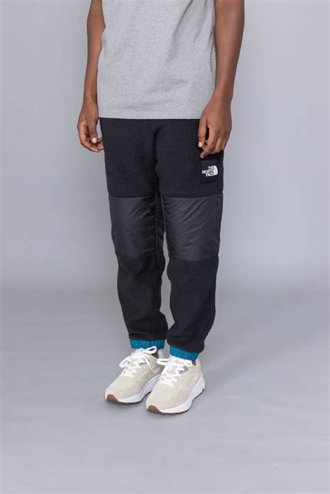 The north face denali pant new arrivals