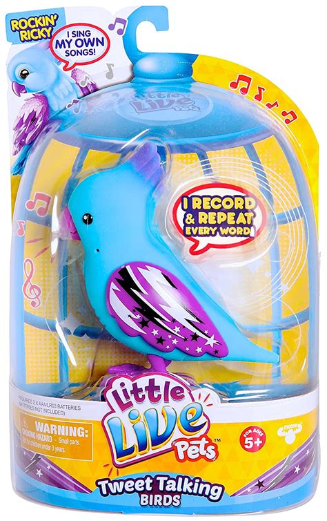 Little Live Pets Bird - Rockin' Ricky : Amazon.in: Pet Supplies