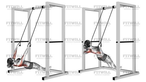 Image result for Inverted Row Workout