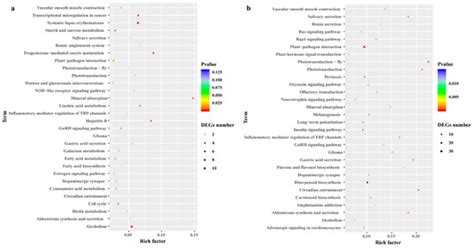 Integration of the Physiology, Transcriptome and Proteome Reveals the ...