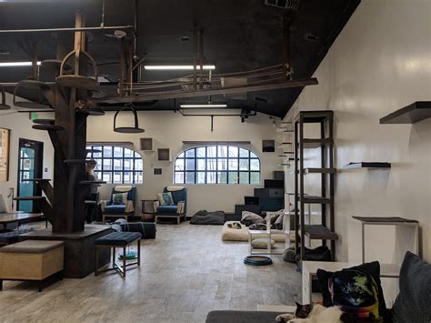 Cat Cafe Los Angeles