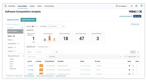 Image result for Veracode SCA