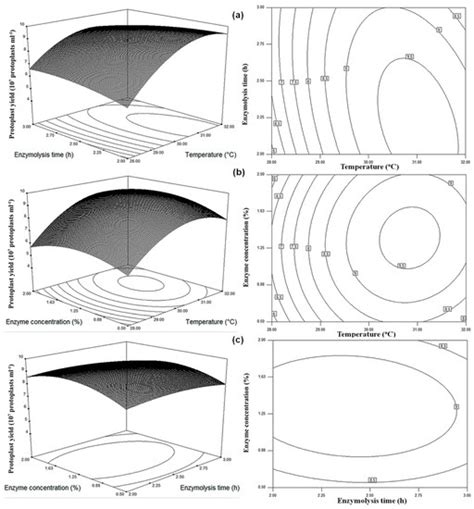 Optimization of Production Conditions for Protoplasts and Polyethylene ...