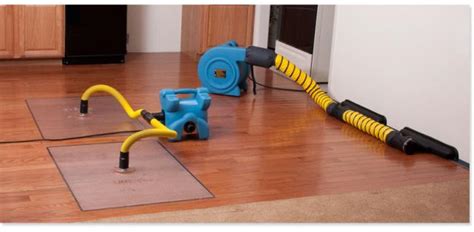 Image result for Injectidry System