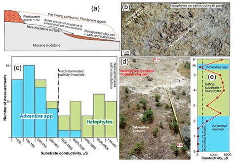 Minerals | Special Issue : Environmental Geochemistry in the Mining ...