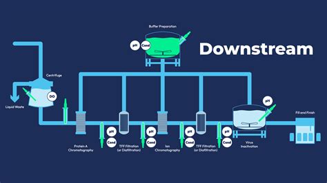 Centre of Excellence for Biopharmaceutical Technology, IIT Delhi