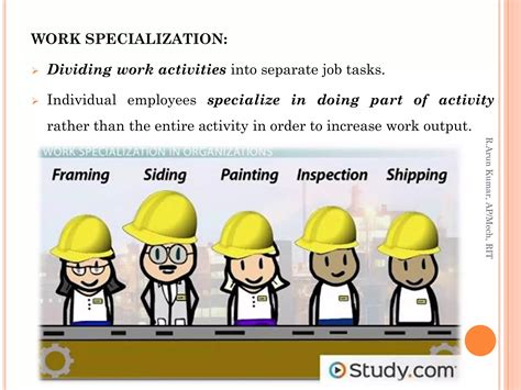 Organization chart and organization structure types | PDF