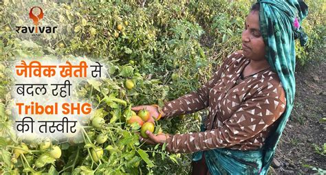 जैविक खेती से बदल रही Tribal SHG की तस्वीर