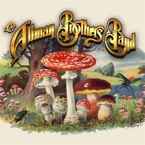 BLUE SKY a tribute to the amazing Allman Brothers Band! No Cover ...