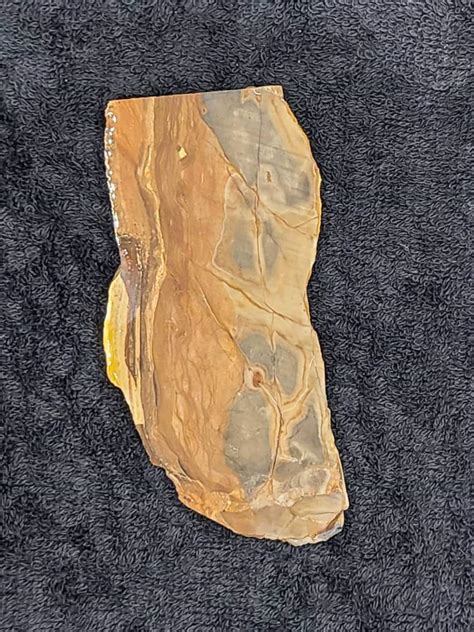 Lapidary Slabs 的图像结果