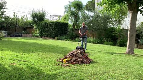 Mulching di potature e foglie con vecchio rasaerba Toro  