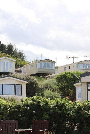 Town Script Pastebin 的图像结果