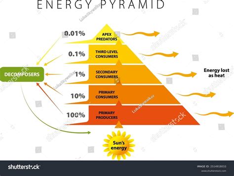 Energy Pyramid Examples 的图像结果