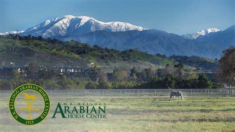 W. K. Kellogg Arabian Horse Center