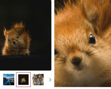 17+ VueJs Gallery Components - February 2025