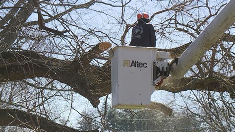 Lancaster County tree service receives influx of emergency calls after wind | fox43.com