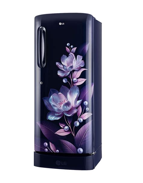 224L Single Door Refrigerator, 5 Star - GL-D241ABMU | LG India