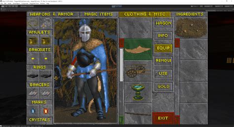 Image result for Daggerfall NPCs