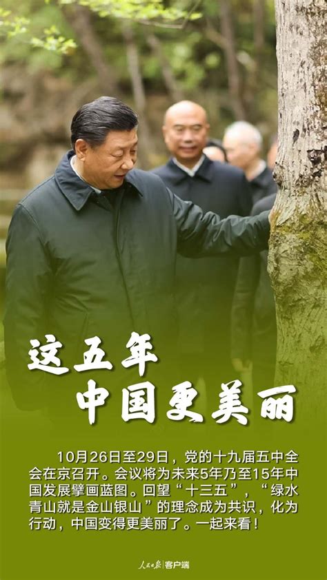 分享 “绿色理念” | “美丽中国 我是行动者”-谷奇核孔膜官网