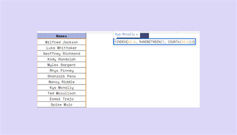 Image result for Random Name Picker Wheel Using Excel
