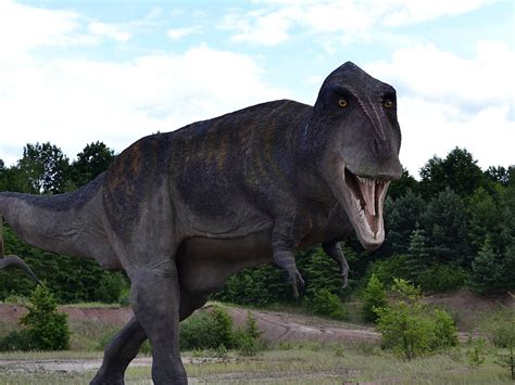 Image result for Dinosaur Using Computer Picture