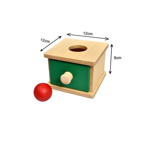 Buy Montessori Educational Imbucare Box For Toddlers - SkilloToys.com