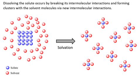 Solubility Process 的图像结果