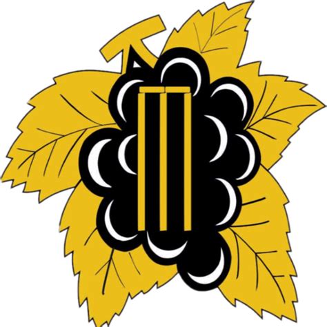 Boland team logo | ESPNcricinfo.com