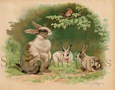 Image result for Victorian Rabbit Illustration