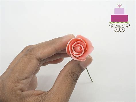 Image result for Gum Paste Rose Tutorial
